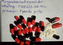 cyanide pills