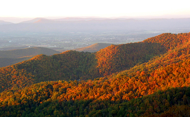 4x Fishers Gap Overlook w październiku