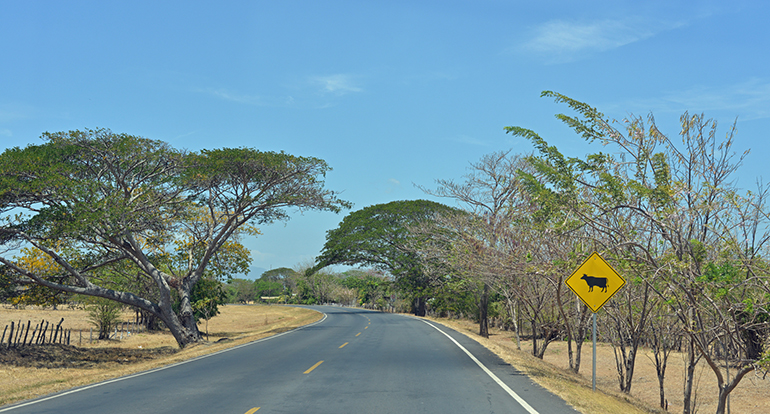 1h Panamericana