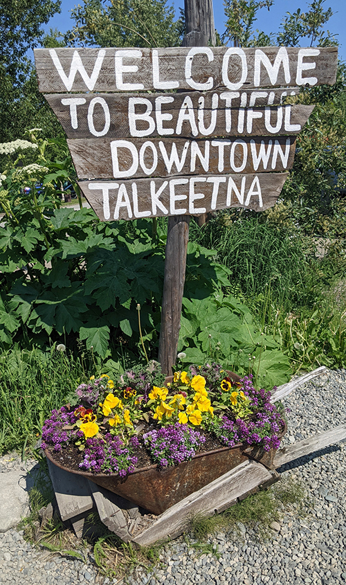 3 Talkeetna wita