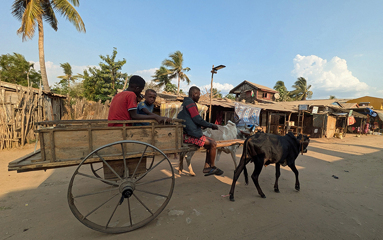 3d Na ulicy w Morondava Madagaskar